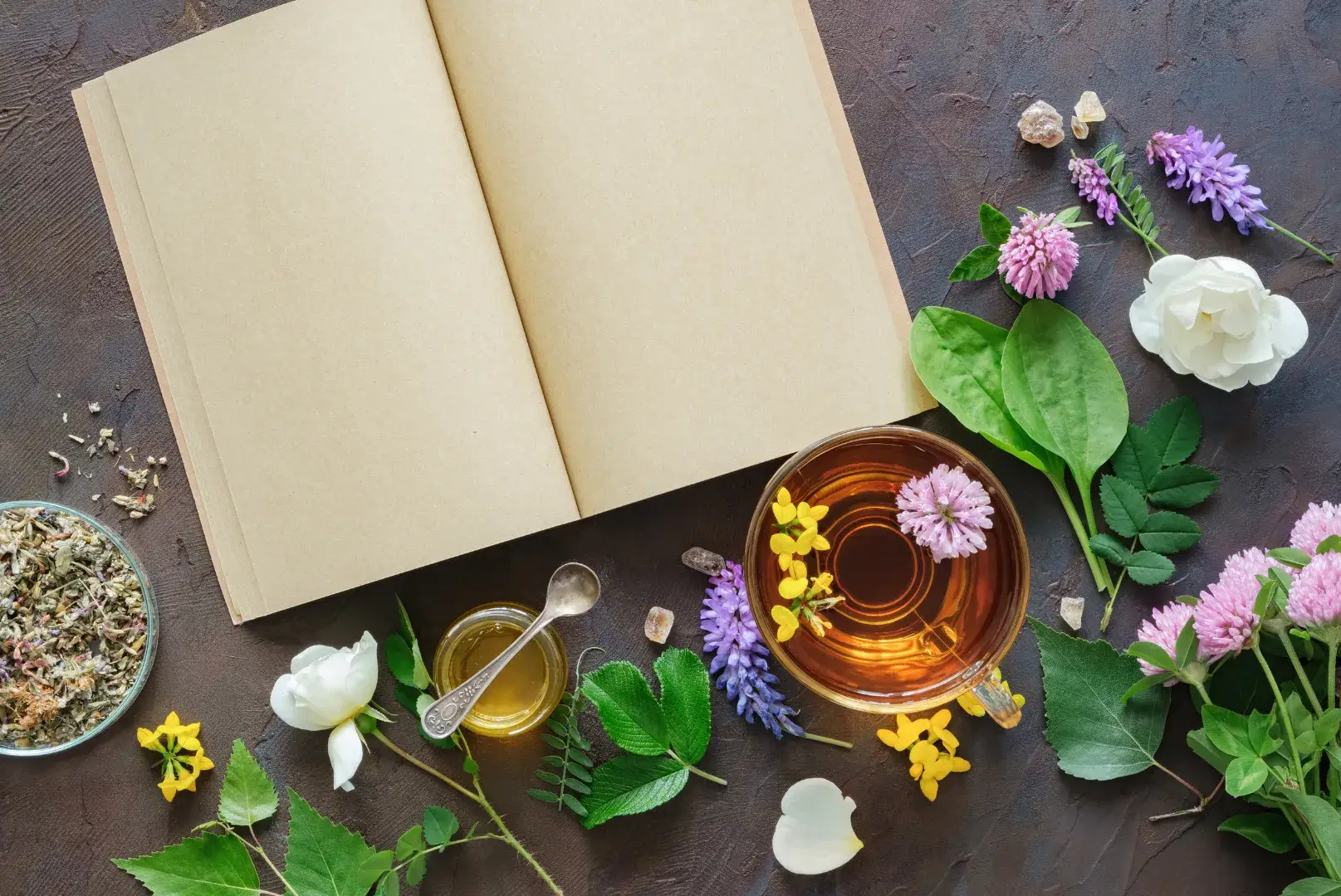 A dark background featuring an arrangement of flowers, tea, herbs, and an open book, creating a serene and cozy atmosphere